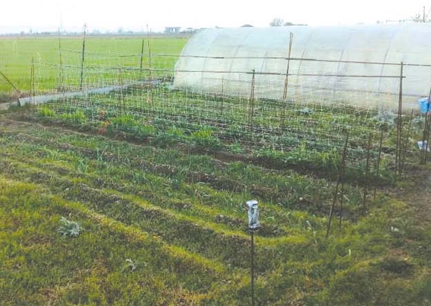 Alcuni orti sono ancora disponibili