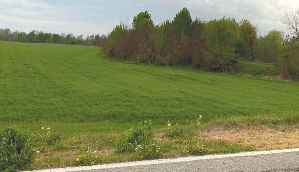 Stabilite le aree aperte ai cacciatori