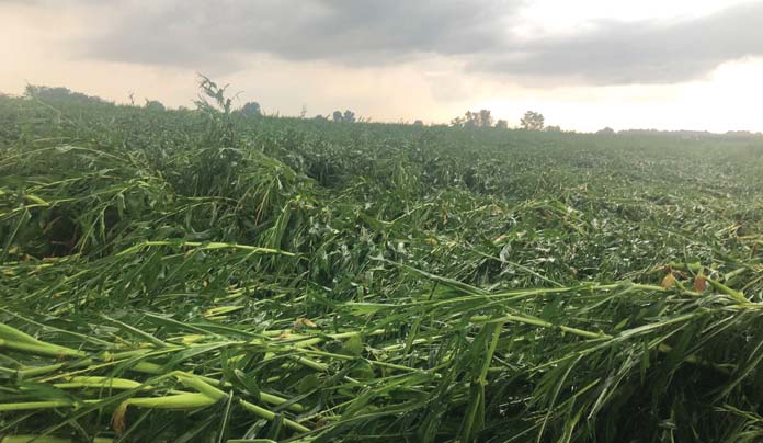 Agricoltura in ginocchio per la grandine