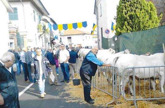 Fine settimana con la patronale