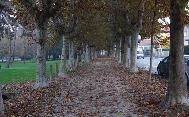 Problemi nella pulizia dalle foglie