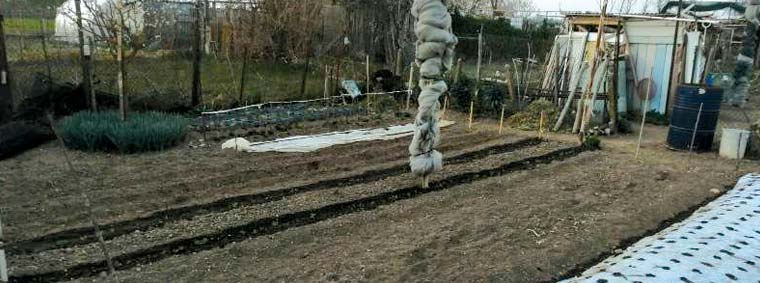 Ci sono sette orti liberi alla Tagliata