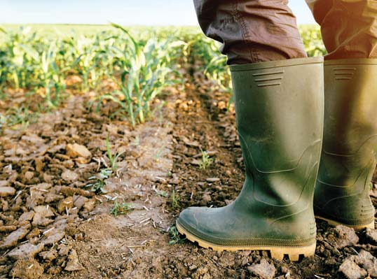 Cambiamento climatico, le sfide da affrontare
