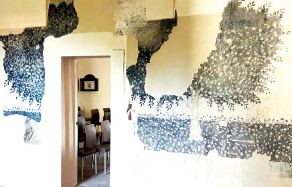 Gli affreschi della corte monasterolese