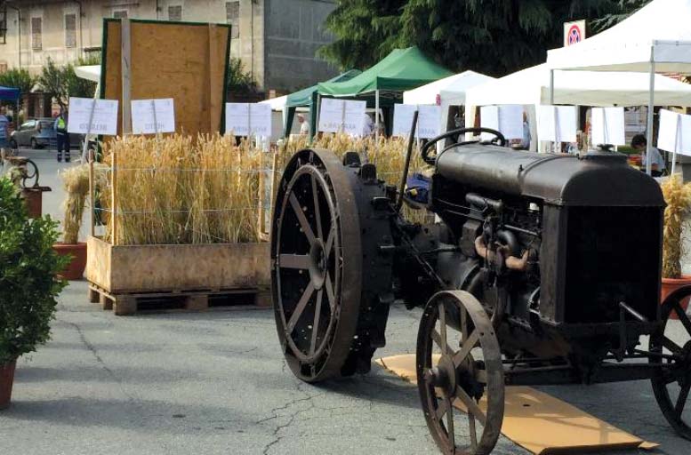 Si consegna la Spiga di Grano 2022