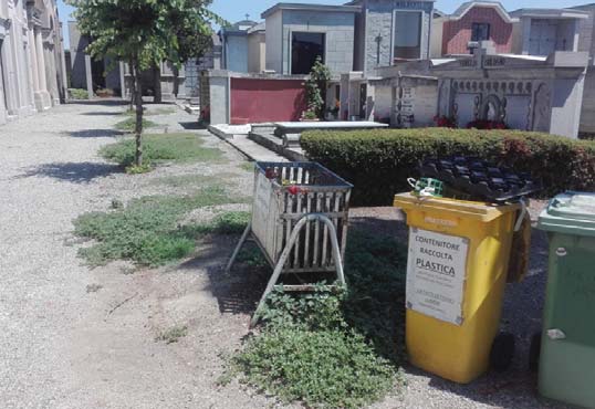 Incuria al cimitero, previsti interventi