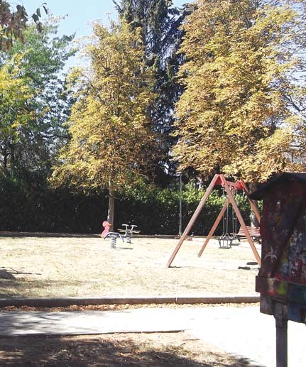 Cani a spasso, richiamo alle regole