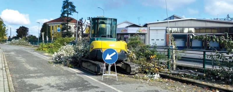 Ripulita la sponda del Rinino