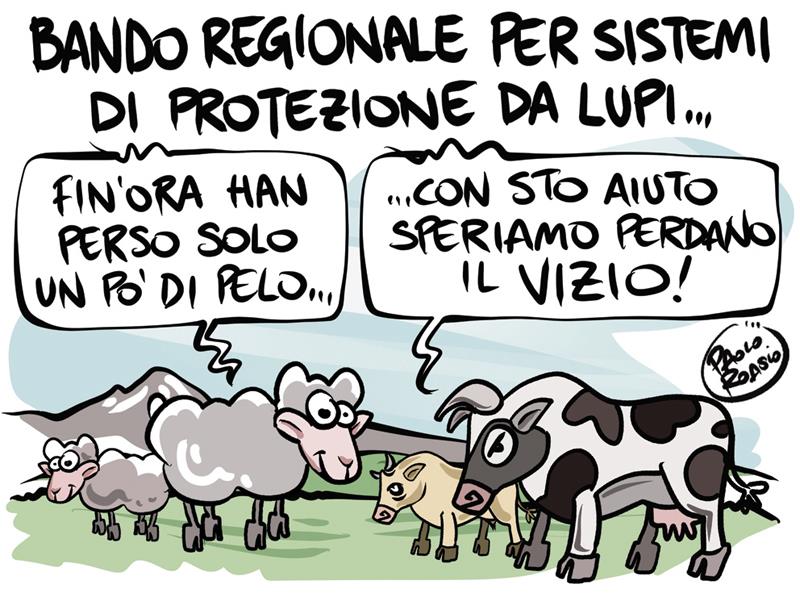 16 novembre 2022
