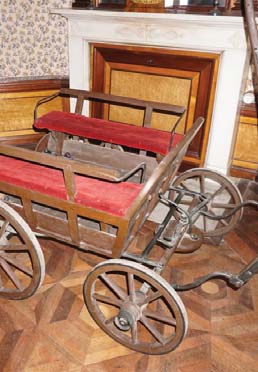 Una capra per una carrozzella