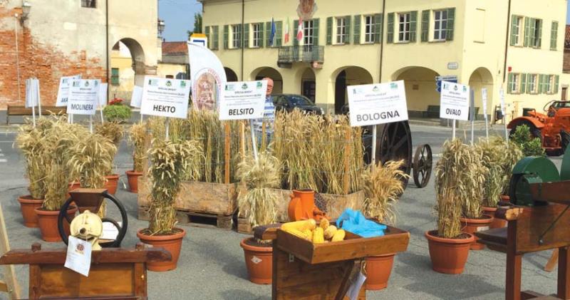 Pane e focaccia si sfornano in piazza