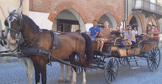 Carrozze storiche, gioielli da restaurare
