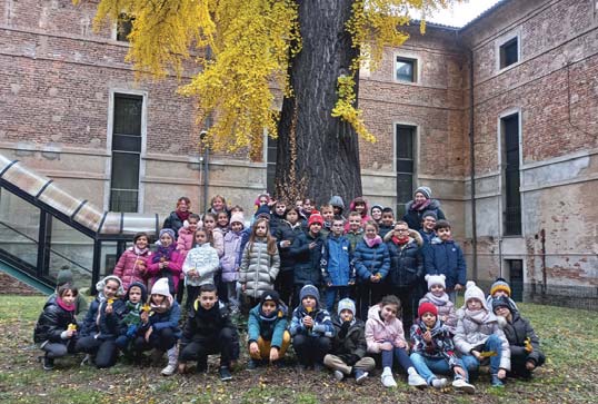 Gli alberi secolari, una memoria viva