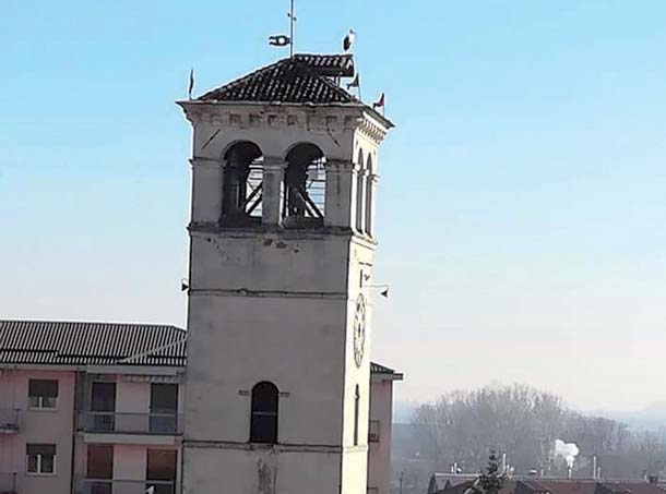 La cicogna non accetta lo sfratto