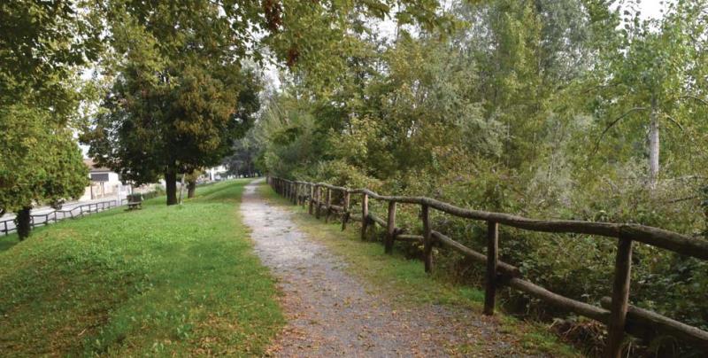 Il patrimonio verde da rinnovare