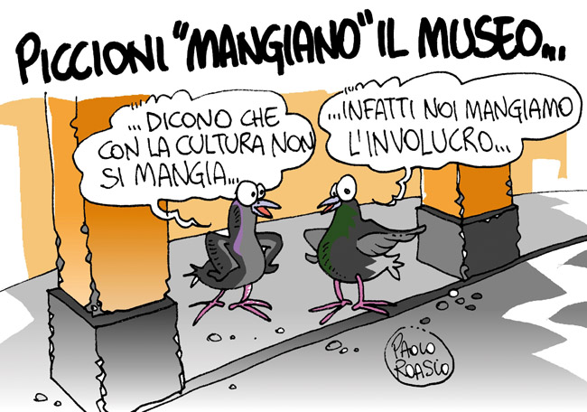 Piccioni 