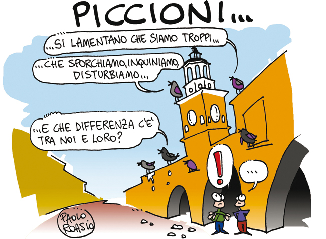 Piccioni...