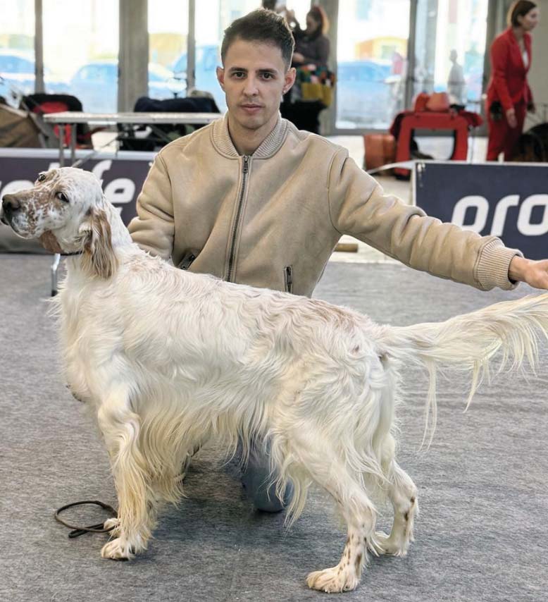 Nicholas e i suoi Setter da medaglia