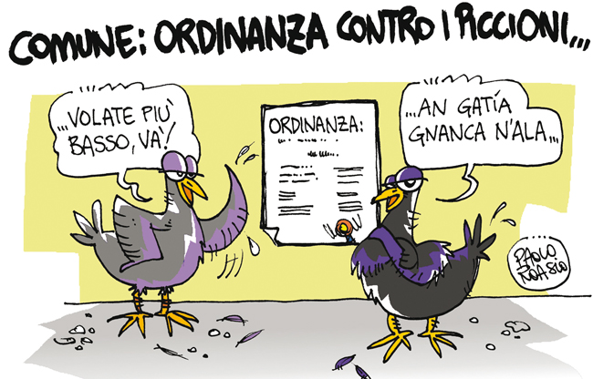 Comune: ordinanza contro i piccioni