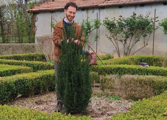 Un albero per Laura