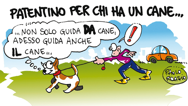 Patentino per chi ha un cane