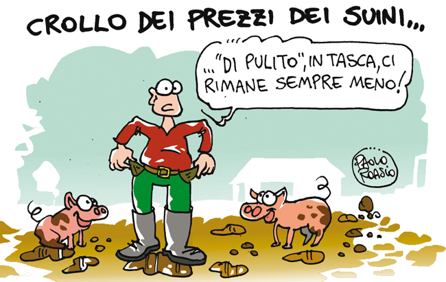 Crollo dei prezzi dei suini