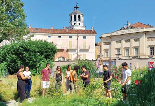 I segreti di erbe e medicinali