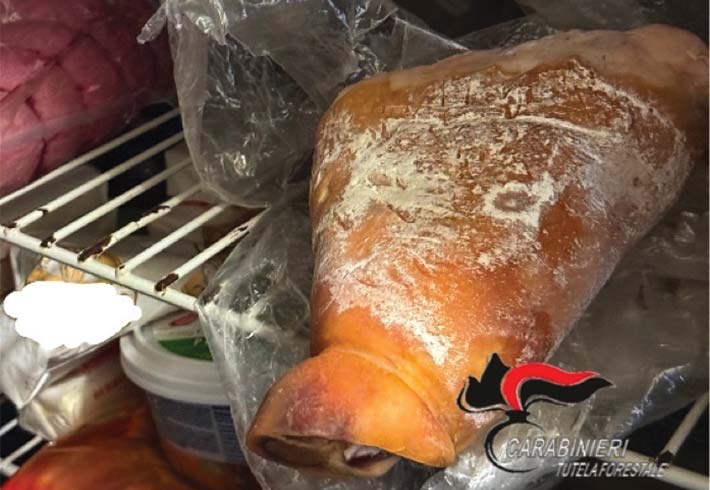 Irregolarit igieniche, locale chiuso in una frazione saviglianese