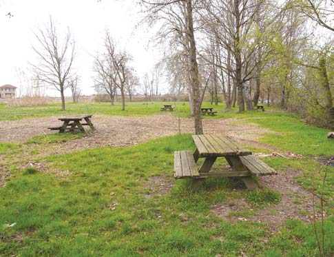 Segnalazioni sulla cura del Parco Re Cit
