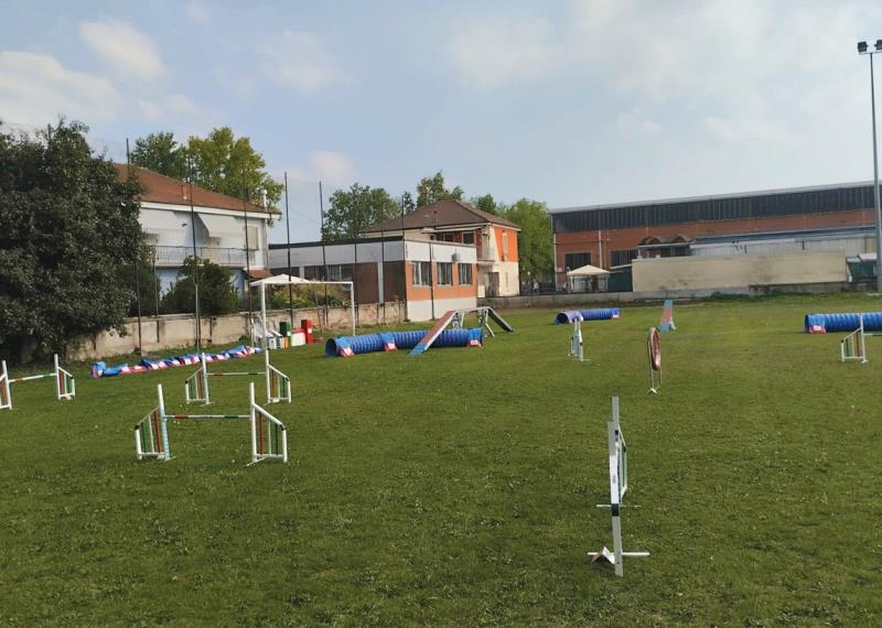 Addestramento cani al campo sportivo 